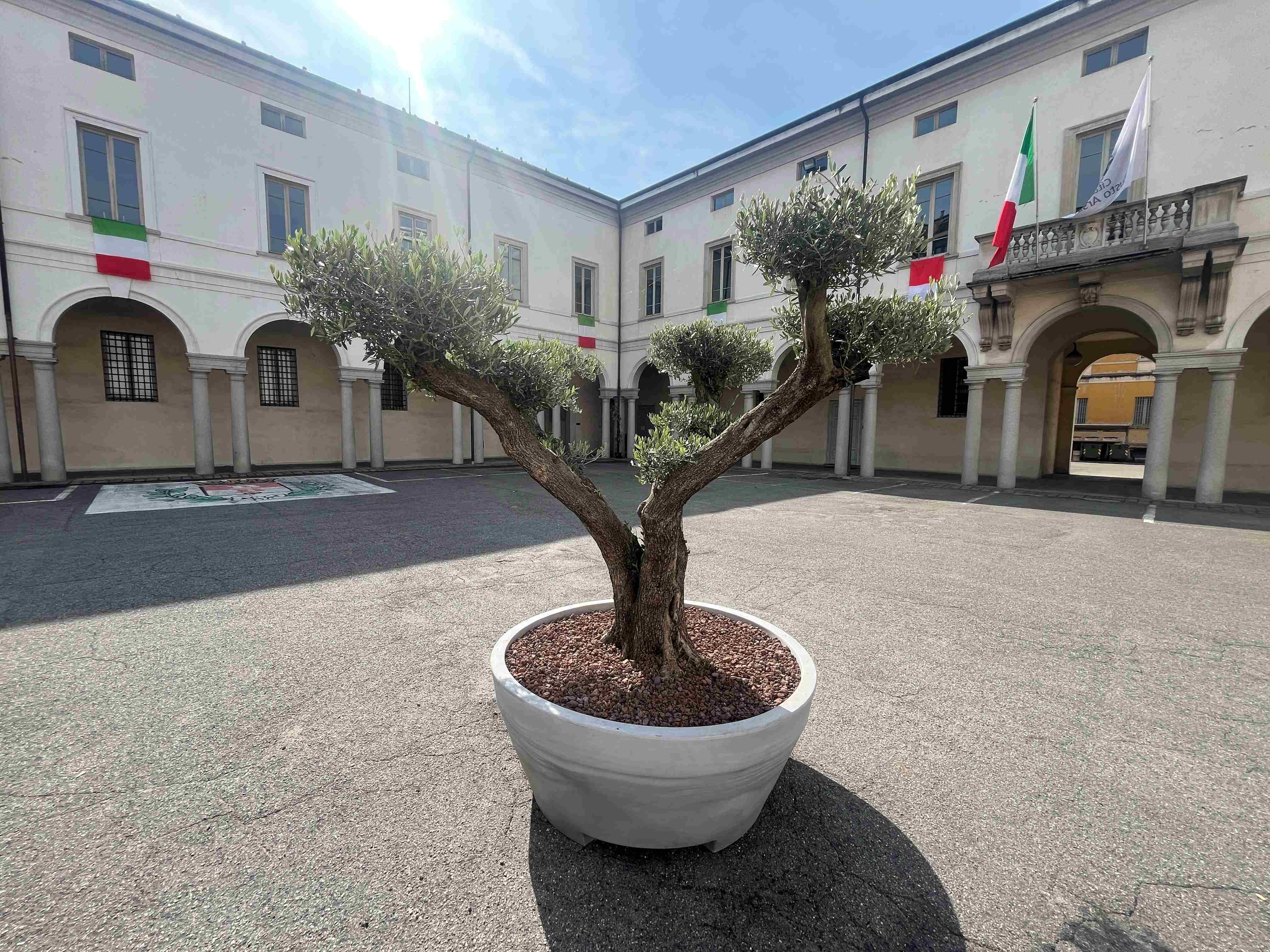 Le decisioni della Giunta Comunale del 4 giugno 2025